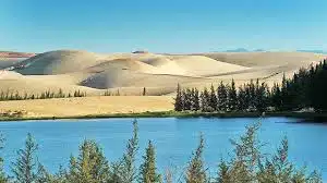 “Tiểu sa mạc Sahara” của Bình Thuận – Bàu Trắng Mũi Né hút hồn du khách